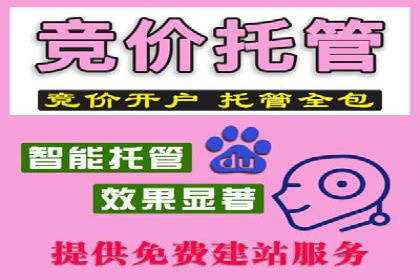 百度SEO推广公司服务效果评估：多案例对比分析